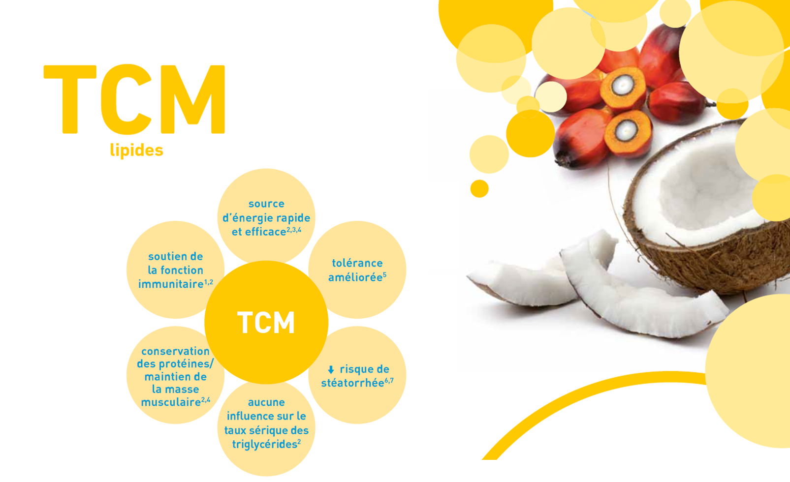 Tout savoir sur les graisses TCM sur 1 A4